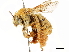  ( - CCDB-34953-H04)  @11 [ ] CreativeCommons - Attribution (2019) CBG Photography Group Centre for Biodiversity Genomics