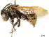  ( - CCDB-34953-H07)  @11 [ ] CreativeCommons - Attribution (2019) CBG Photography Group Centre for Biodiversity Genomics