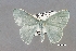  ( - USNM ENT 00729655a)  @11 [ ] Unspecified (default): All Rights Reserved  Unspecified Unspecified