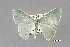  ( - USNM ENT 00729700a)  @11 [ ] Unspecified (default): All Rights Reserved  Unspecified Unspecified