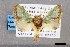  ( - USNM ENT 01069286a)  @11 [ ] Unspecified (default): All Rights Reserved  Unspecified Unspecified