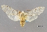  ( - USNM ENT 01246618)  @11 [ ] Unspecified (default): All Rights Reserved  Unspecified Unspecified