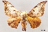  ( - USNM ENT 01246621)  @11 [ ] Unspecified (default): All Rights Reserved  Unspecified Unspecified