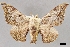  ( - USNM ENT 01246622)  @11 [ ] Unspecified (default): All Rights Reserved  Unspecified Unspecified