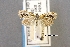  ( - USNM ENT 01453502a)  @11 [ ] Unspecified (default): All Rights Reserved  Unspecified Unspecified