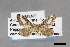  ( - USNM ENT 01848922)  @11 [ ] Unspecified (default): All Rights Reserved  Unspecified Unspecified