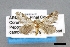  ( - USNM ENT 01848923)  @11 [ ] Unspecified (default): All Rights Reserved  Unspecified Unspecified