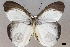  ( - USNM ENT 01848953)  @11 [ ] Unspecified (default): All Rights Reserved  Unspecified Unspecified