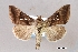  ( - USNM ENT 01848976)  @11 [ ] Unspecified (default): All Rights Reserved  Unspecified Unspecified