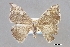  ( - USNM ENT 01848994)  @11 [ ] Unspecified (default): All Rights Reserved  Unspecified Unspecified