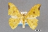  ( - USNM ENT 01848999)  @11 [ ] Unspecified (default): All Rights Reserved  Unspecified Unspecified