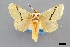  ( - USNM ENT 01918006)  @11 [ ] Unspecified (default): All Rights Reserved  Unspecified Unspecified