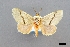  ( - USNM ENT 01918007)  @11 [ ] Unspecified (default): All Rights Reserved  Unspecified Unspecified
