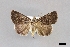  ( - USNM ENT 01918018)  @11 [ ] Unspecified (default): All Rights Reserved  Unspecified Unspecified