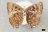  ( - USNM ENT 01918027)  @11 [ ] Unspecified (default): All Rights Reserved  Unspecified Unspecified