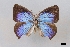  ( - USNM ENT 01918028)  @11 [ ] Unspecified (default): All Rights Reserved  Unspecified Unspecified