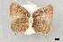  ( - USNM ENT 01918028)  @11 [ ] Unspecified (default): All Rights Reserved  Unspecified Unspecified