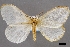 ( - USNM ENT 01918055)  @11 [ ] Unspecified (default): All Rights Reserved  Unspecified Unspecified