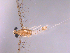  ( - 07GSM-5535)  @12 [ ] CreativeCommons - Attribution (2011) Unspecified Centre for Biodiversity Genomics