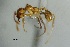  ( - ANT67)  @11 [ ] CreativeCommons  Attribution Non-Commercial Share-Alike (2010) Martin Pfeiffer University of Bayreuth, Germany
