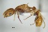  ( - ANT89)  @11 [ ] CreativeCommons  Attribution Non-Commercial Share-Alike (2010) Martin Pfeiffer University of Bayreuth, Germany