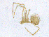  ( - SMNK-ARA-20197)  @11 [ ] CreativeCommons  Attribution (by)  Unspecified Natural History Museum Karlsruhe