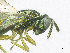  ( - SMNS_37179)  @11 [ ] CreativeCommons  Attribution Share-Alike (by-sa) (2020) State Museum of Natural History Stuttgart State Museum of Natural History Stuttgart