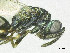  ( - SMNS_37224)  @14 [ ] CreativeCommons  Attribution Share-Alike (by-sa) (2020) State Museum of Natural History Stuttgart State Museum of Natural History Stuttgart
