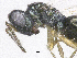  ( - SMNS_37296)  @11 [ ] CreativeCommons  Attribution Share-Alike (by-sa) (2020) State Museum of Natural History Stuttgart State Museum of Natural History Stuttgart