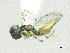  ( - SMNS_37395)  @11 [ ] CreativeCommons  Attribution Share-Alike (by-sa) (2020) State Museum of Natural History Stuttgart State Museum of Natural History Stuttgart