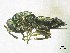  ( - SMNS_37668)  @11 [ ] CreativeCommons  Attribution Share-Alike (by-sa) (2020) State Museum of Natural History Stuttgart State Museum of Natural History Stuttgart