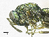  ( - SMNS_37668)  @11 [ ] CreativeCommons  Attribution Share-Alike (by-sa) (2020) State Museum of Natural History Stuttgart State Museum of Natural History Stuttgart