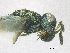  ( - SMNS_37679)  @11 [ ] CreativeCommons  Attribution Share-Alike (by-sa) (2020) State Museum of Natural History Stuttgart State Museum of Natural History Stuttgart