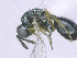  ( - SMNS_37756)  @11 [ ] CreativeCommons  Attribution Share-Alike (by-sa) (2020) State Museum of Natural History Stuttgart State Museum of Natural History Stuttgart