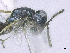  ( - SMNS_37759)  @11 [ ] CreativeCommons  Attribution Share-Alike (by-sa) (2020) State Museum of Natural History Stuttgart State Museum of Natural History Stuttgart