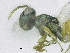  ( - SMNS_37831)  @11 [ ] CreativeCommons  Attribution Share-Alike (by-sa) (2020) State Museum of Natural History Stuttgart State Museum of Natural History Stuttgart