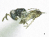  ( - SMNS_37834)  @13 [ ] CreativeCommons  Attribution Share-Alike (by-sa) (2020) State Museum of Natural History Stuttgart State Museum of Natural History Stuttgart