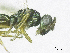  ( - SMNS_37853)  @11 [ ] CreativeCommons  Attribution Share-Alike (by-sa) (2020) State Museum of Natural History Stuttgart State Museum of Natural History Stuttgart
