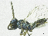  ( - SMNS_37894)  @11 [ ] CreativeCommons  Attribution Share-Alike (by-sa) (2020) State Museum of Natural History Stuttgart State Museum of Natural History Stuttgart