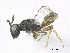  ( - SMNS_37915)  @11 [ ] CreativeCommons  Attribution Share-Alike (by-sa) (2020) State Museum of Natural History Stuttgart State Museum of Natural History Stuttgart