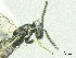  ( - SMNS_37943)  @11 [ ] CreativeCommons  Attribution Share-Alike (by-sa) (2020) State Museum of Natural History Stuttgart State Museum of Natural History Stuttgart