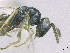  ( - SMNS_37961)  @11 [ ] CreativeCommons  Attribution Share-Alike (by-sa) (2020) State Museum of Natural History Stuttgart State Museum of Natural History Stuttgart