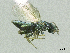  ( - SMNS_37969)  @11 [ ] CreativeCommons  Attribution Share-Alike (by-sa) (2020) State Museum of Natural History Stuttgart State Museum of Natural History Stuttgart