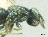  ( - SMNS_37969)  @11 [ ] CreativeCommons  Attribution Share-Alike (by-sa) (2020) State Museum of Natural History Stuttgart State Museum of Natural History Stuttgart