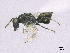  ( - SMNS_38026)  @11 [ ] CreativeCommons  Attribution Share-Alike (by-sa) (2020) State Museum of Natural History Stuttgart State Museum of Natural History Stuttgart
