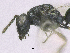  ( - SMNS_38026)  @11 [ ] CreativeCommons  Attribution Share-Alike (by-sa) (2020) State Museum of Natural History Stuttgart State Museum of Natural History Stuttgart