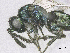  ( - SMNS_38029)  @11 [ ] CreativeCommons  Attribution Share-Alike (by-sa) (2020) State Museum of Natural History Stuttgart State Museum of Natural History Stuttgart