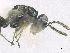  ( - SMNS_38030)  @11 [ ] CreativeCommons  Attribution Share-Alike (by-sa) (2020) State Museum of Natural History Stuttgart State Museum of Natural History Stuttgart