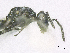  ( - SMNS_38040)  @11 [ ] CreativeCommons  Attribution Share-Alike (by-sa) (2020) State Museum of Natural History Stuttgart State Museum of Natural History Stuttgart