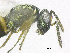  ( - SMNS_38041)  @11 [ ] CreativeCommons  Attribution Share-Alike (by-sa) (2020) State Museum of Natural History Stuttgart State Museum of Natural History Stuttgart